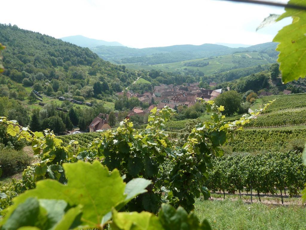 Villa Gitzelbrunnen Epfig Esterno foto